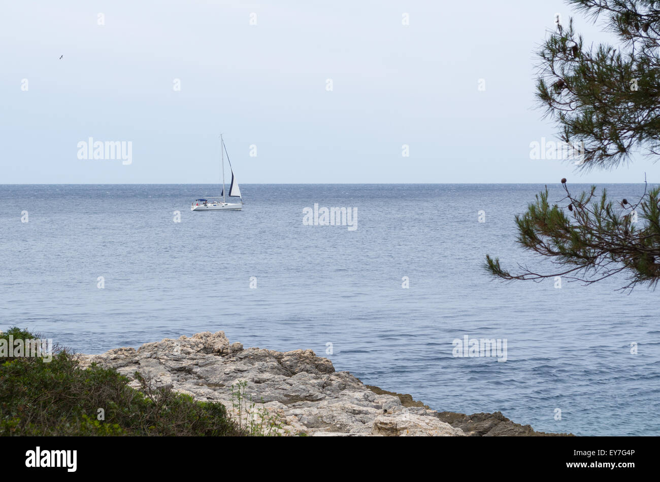 Sailboat on the Sea with Rocky Coast and Pine Stock Photo