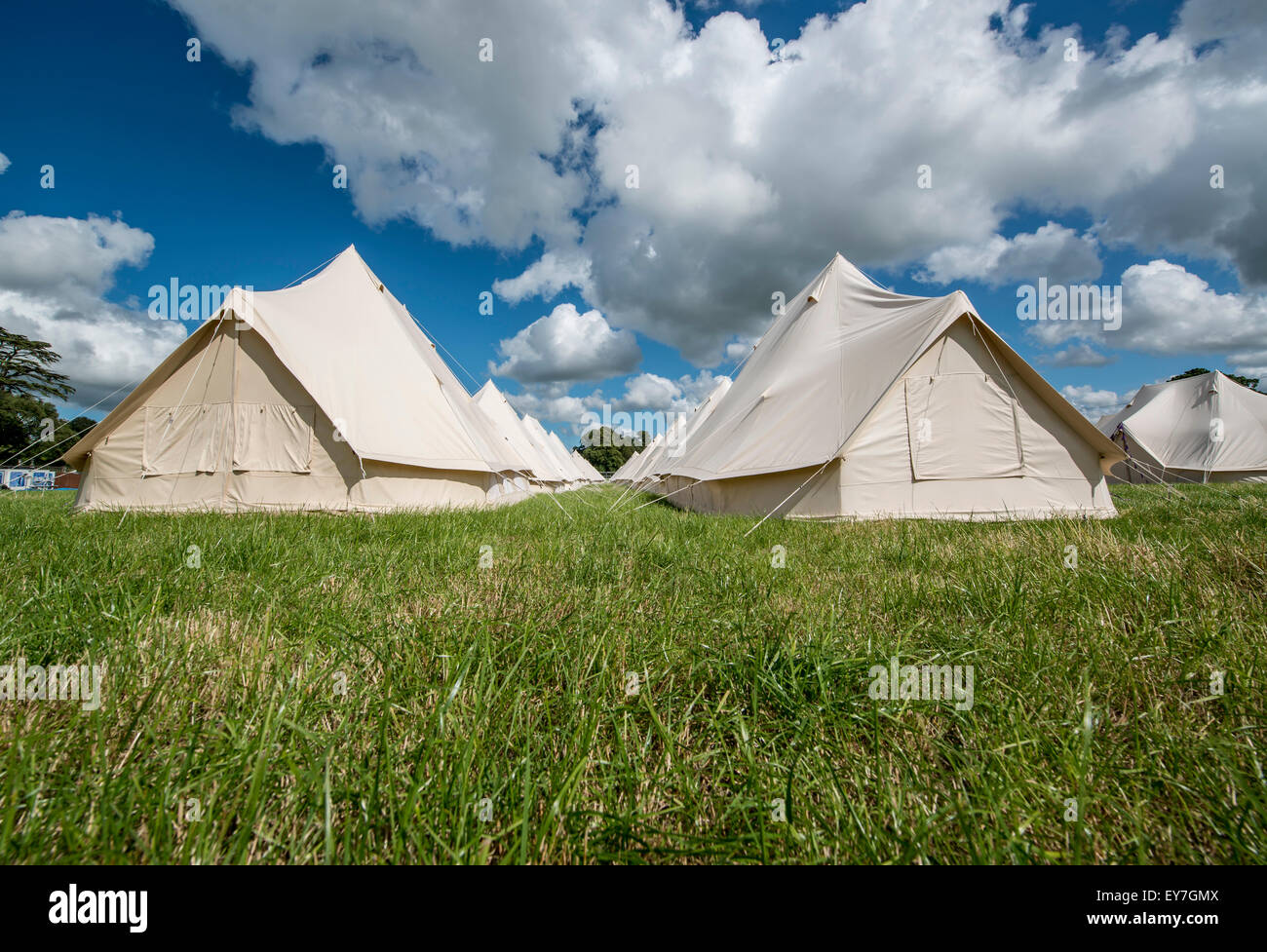 Lines of eco boutique tents and teepee camping at the Somersault
