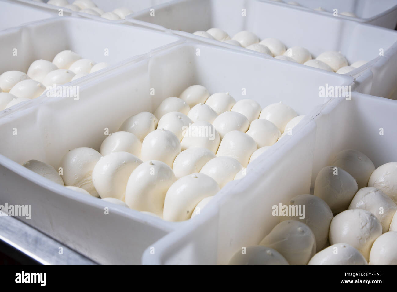 Fresh mozzarella cheese heads lying in a boxes on a production Stock Photo Alamy