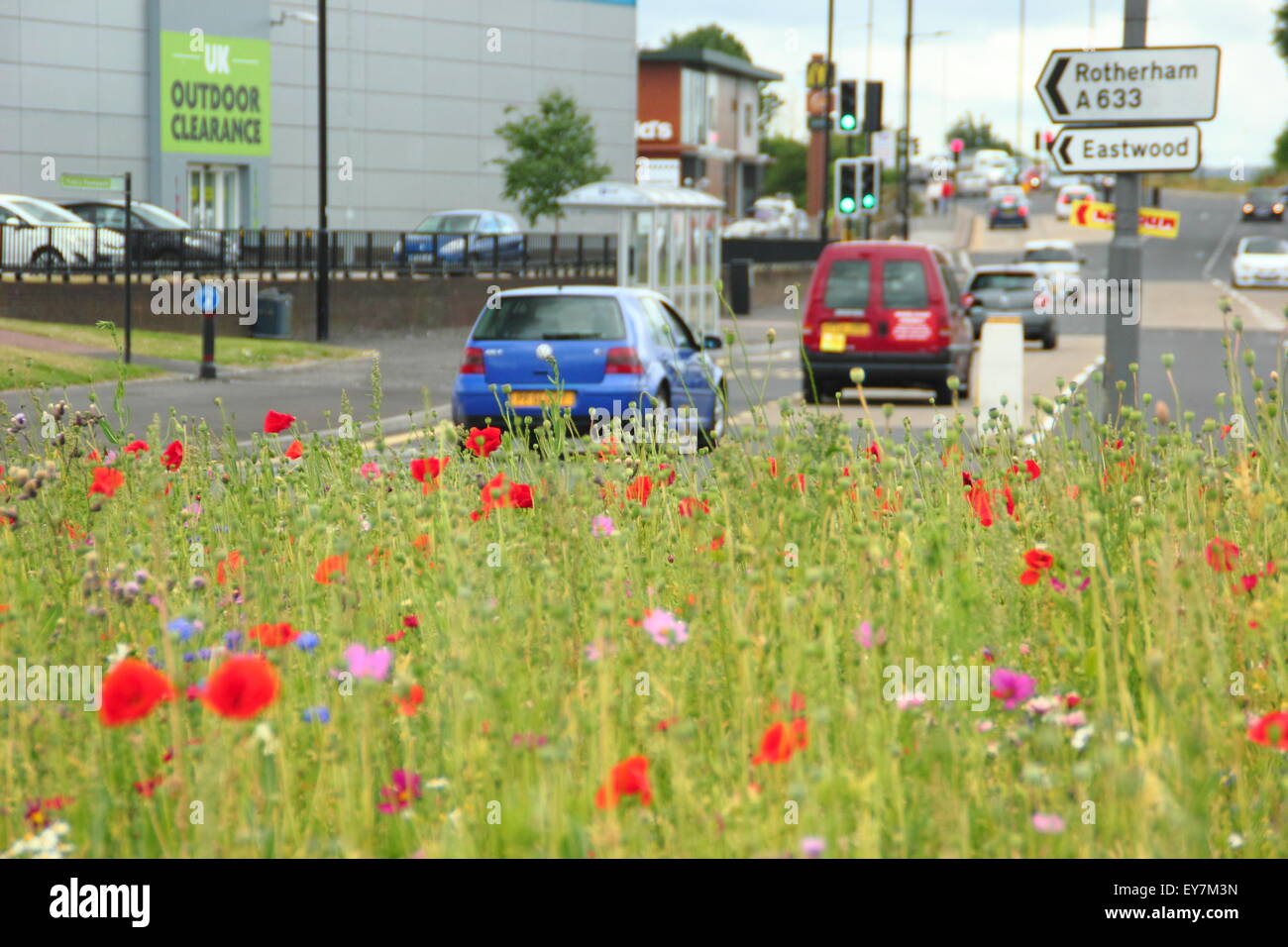 Traffic passes a roundabout festooned with wildflowers in Rotherham