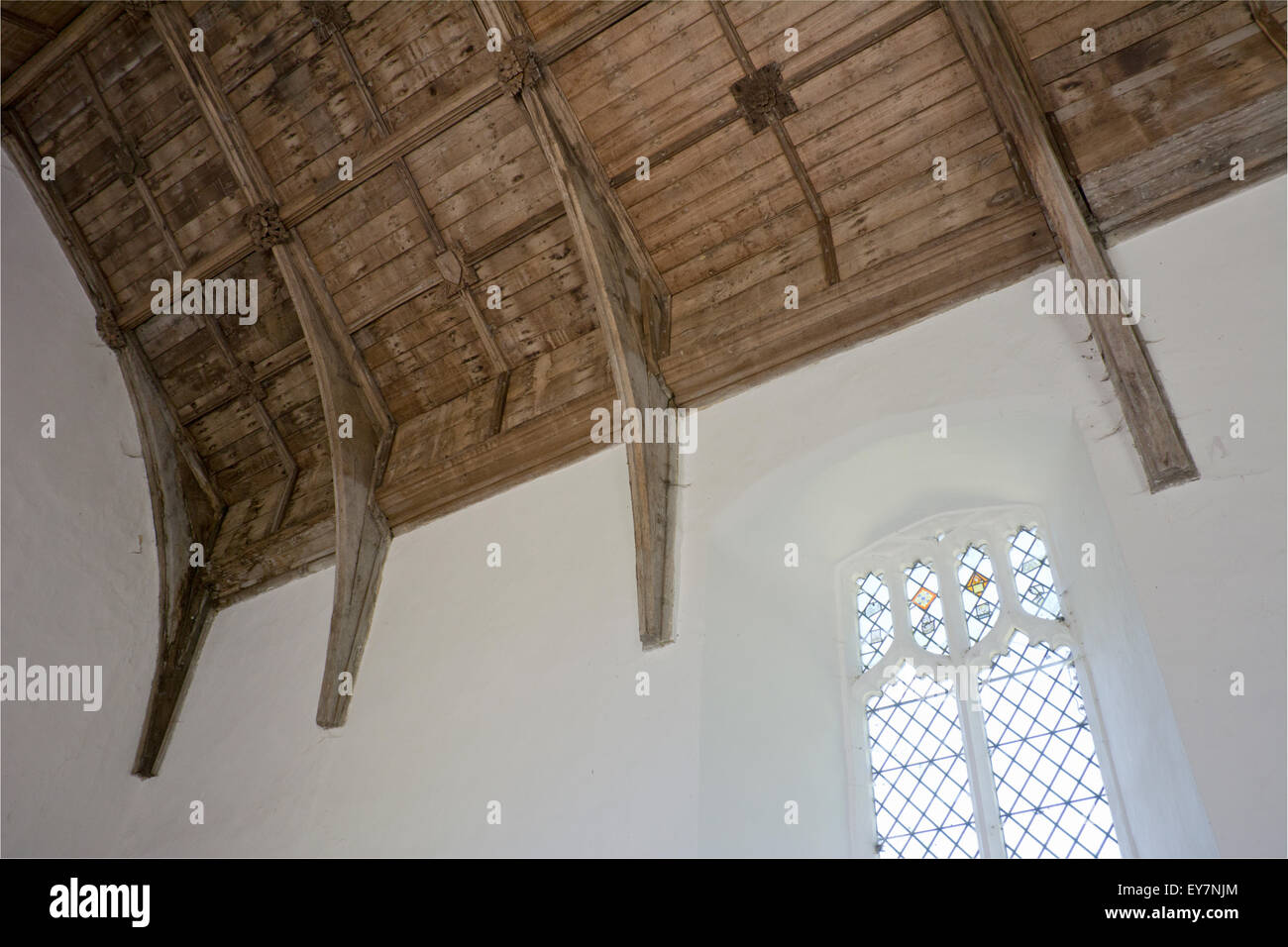 Roof vaulting, St Margaret's Church, Tivetshall St Margaret, Norfolk, England Stock Photo