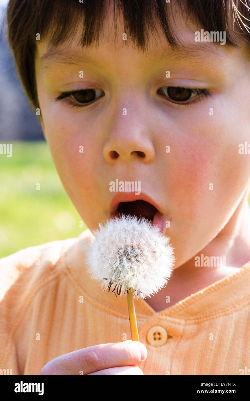 https://c8.alamy.com/comp/EY7NTX/close-up-of-caucasian-child-boy-6-7-year-old-boy-blowing-dandelion-EY7NTX.jpg