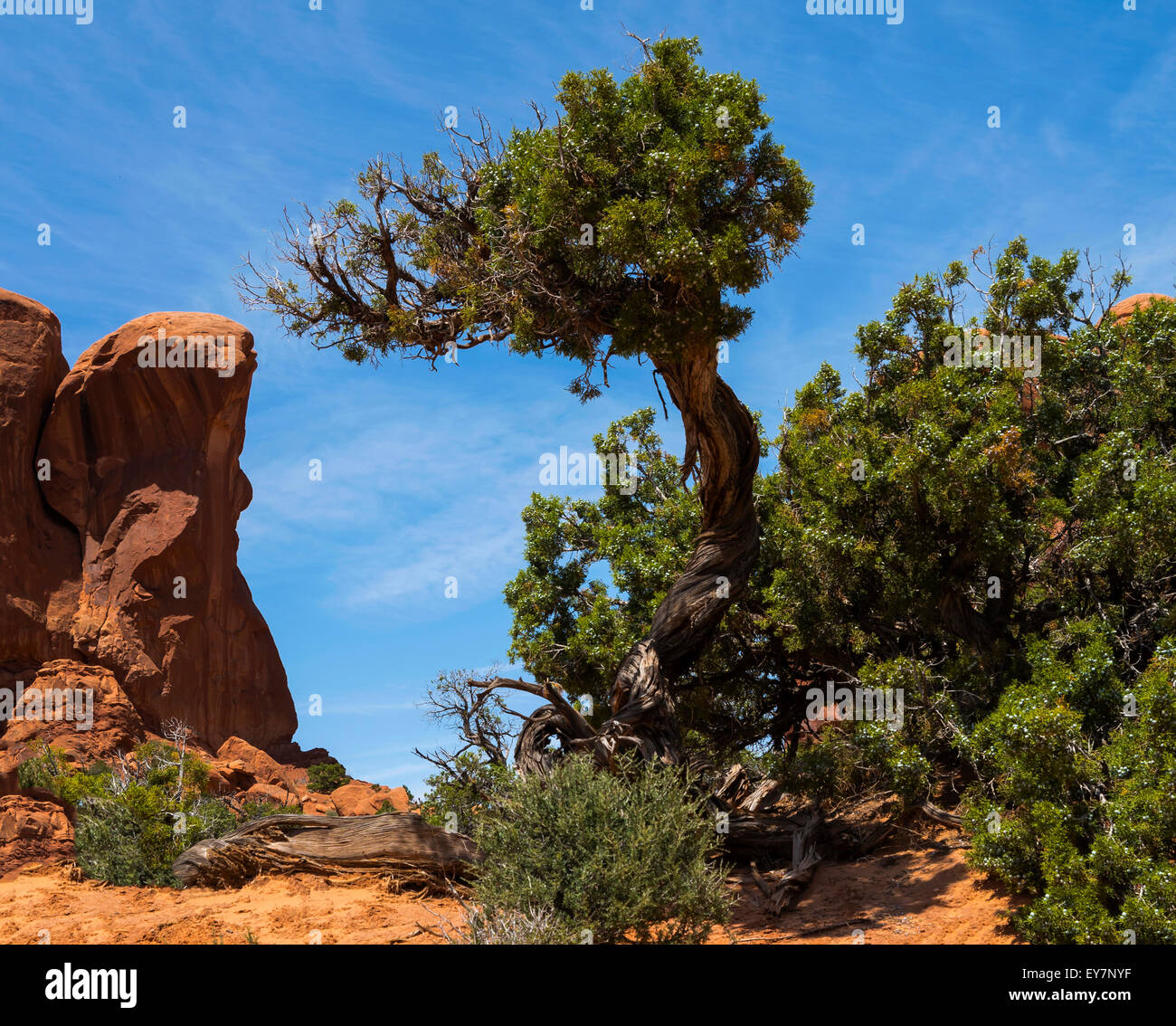 Climbing areas of the united states hi-res stock photography and images ...