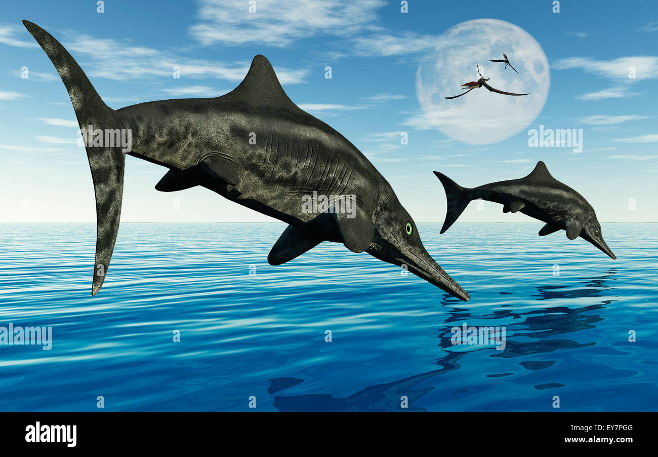 Stenopterygius Ichthyosaurs Stock Photo Alamy