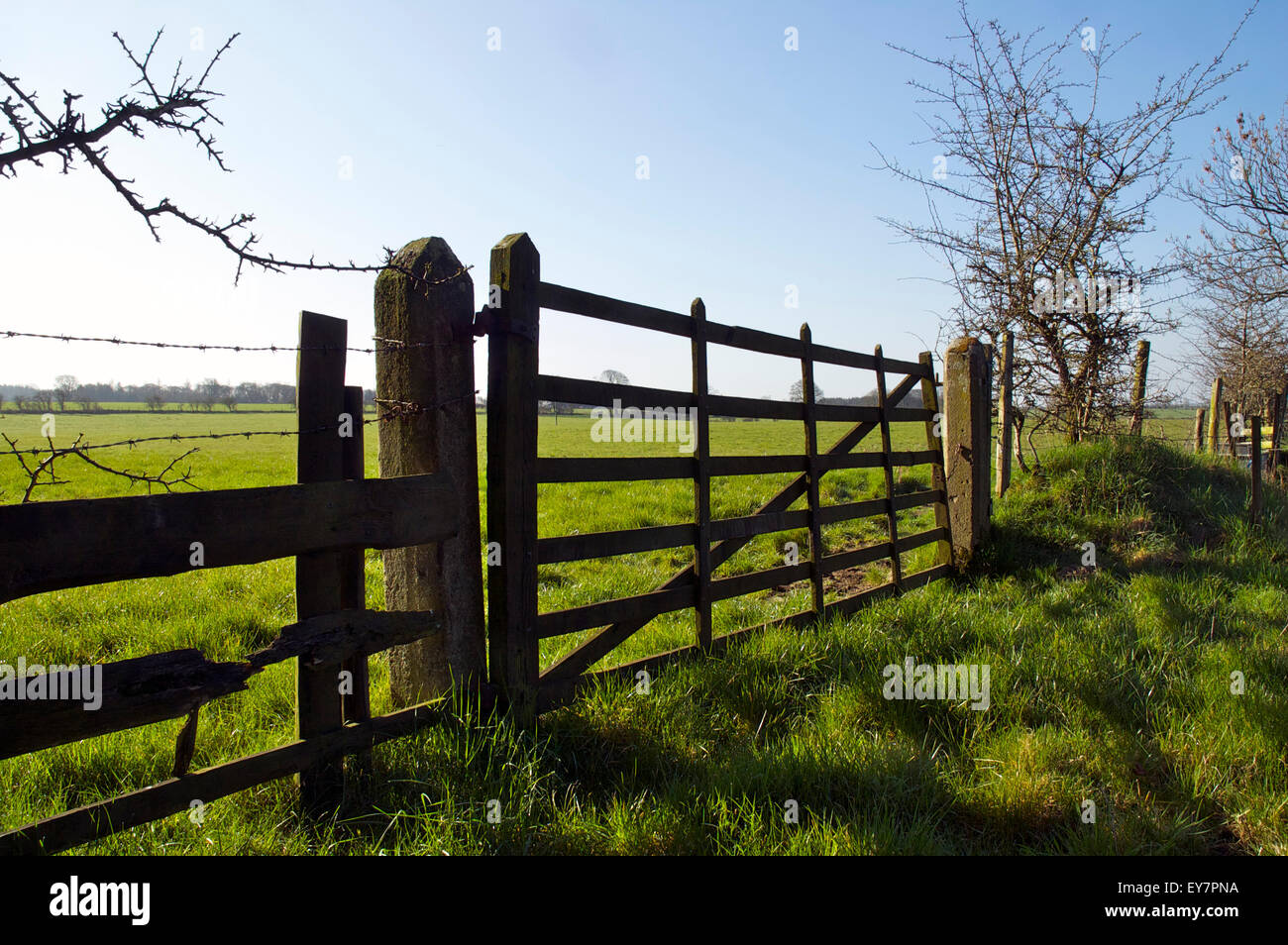An old wooden gate in a green field under a clear blue sky. Stock Photo