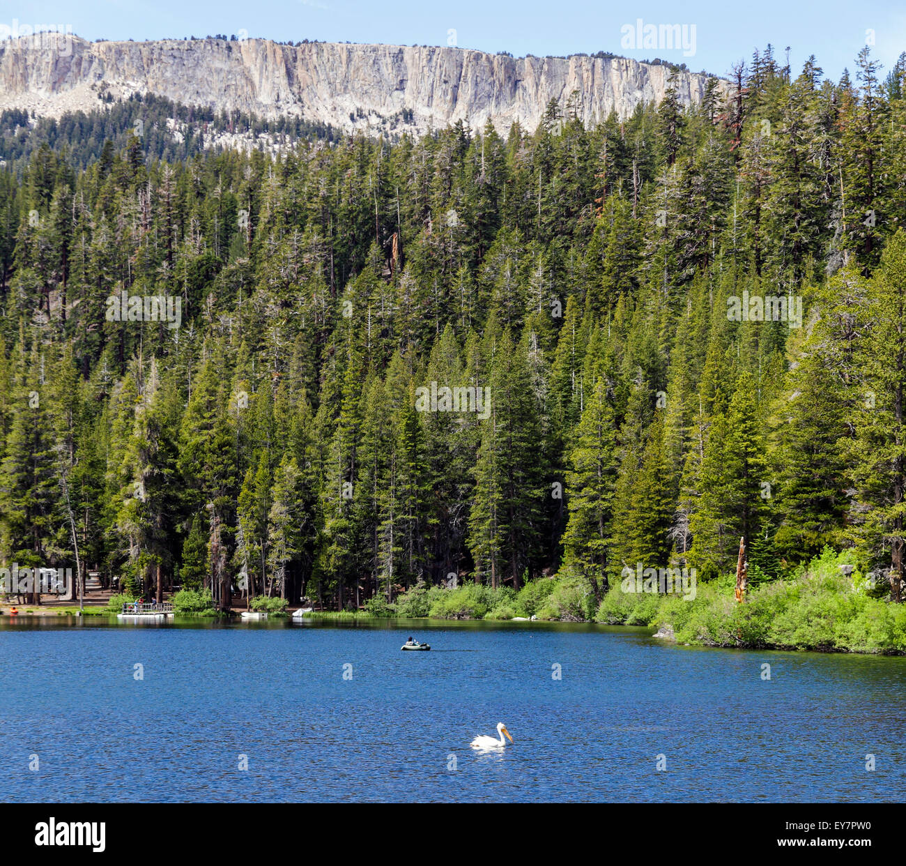 White bird and fisherman in Twin Lakes in the Mammoth Lakes Basin Stock Photo