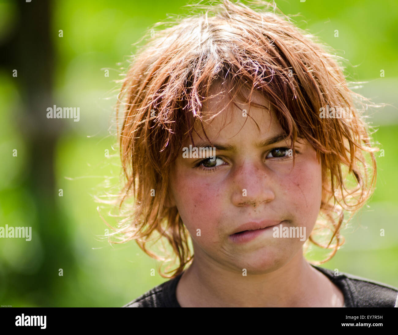 Gypsy in romanian countryside Stock Photo