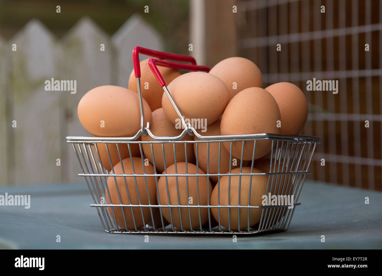 Fresh free range brown chickens eggs in a small metal wire basket with a red handle Stock Photo