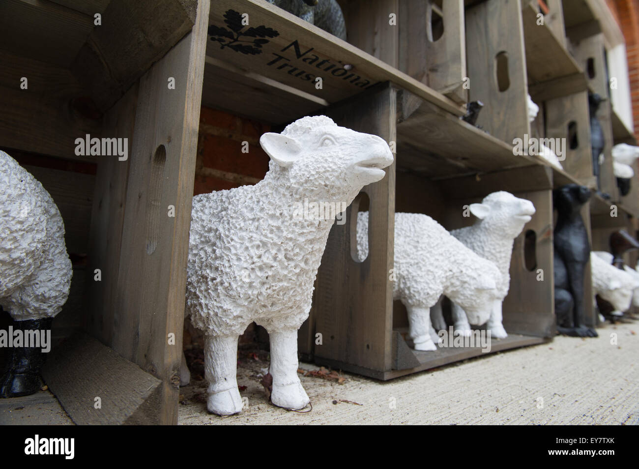 White painted sculptured sheep on display in wooden boxes. Stock Photo