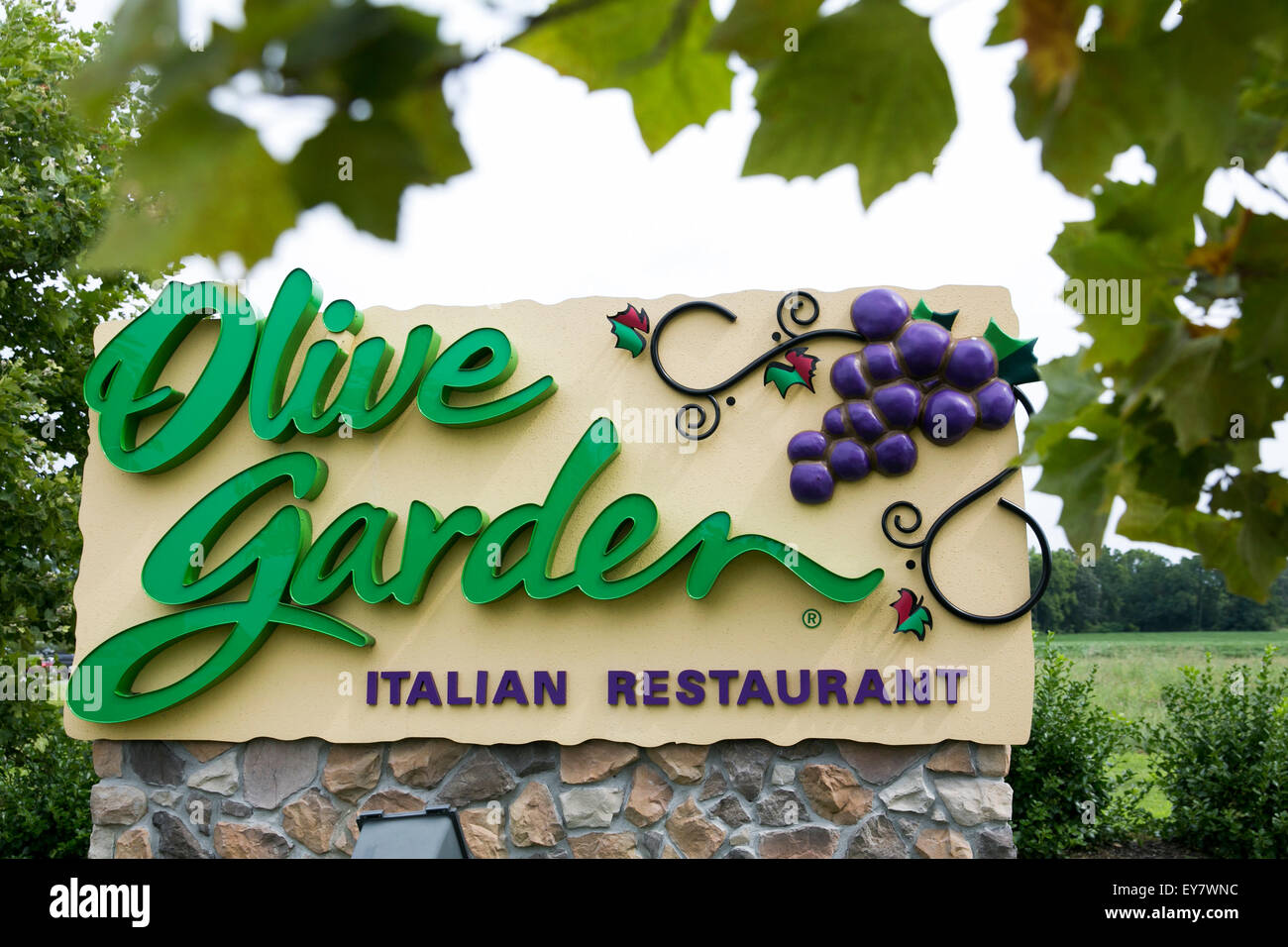 A logo sign outside of an Olive Garden restaurant location in Easton, Maryland on July 18, 2015. Stock Photo