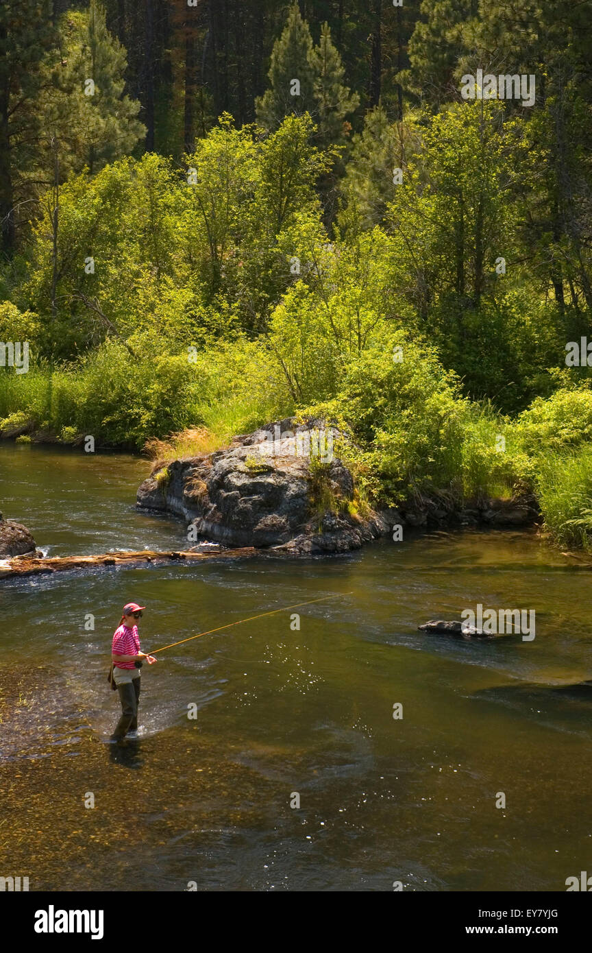 Powder River fishing, WallowaWhitman National Forest, Oregon Stock