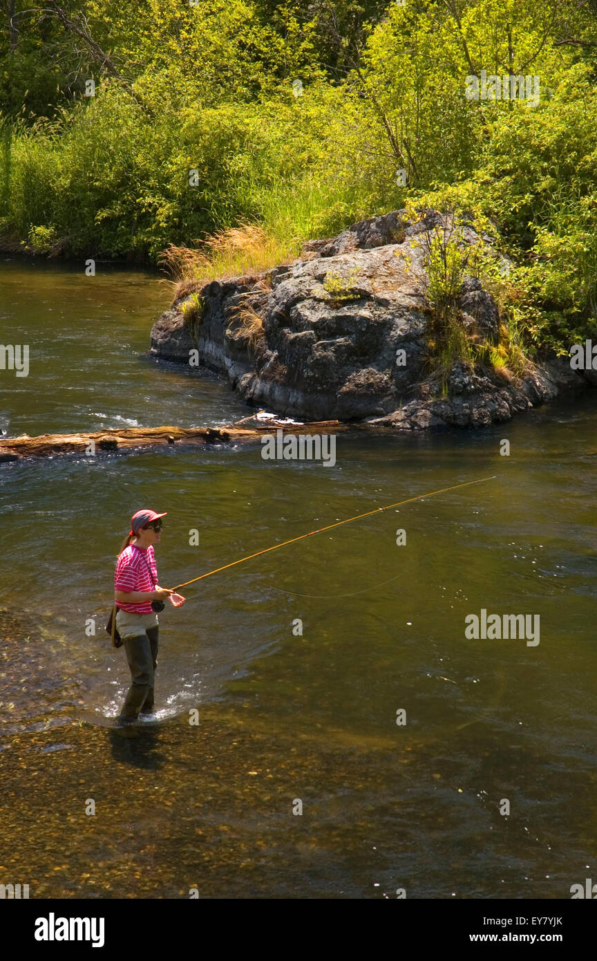 Powder River fishing, WallowaWhitman National Forest, Oregon Stock