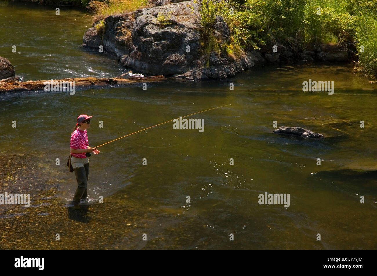 Powder River fishing, WallowaWhitman National Forest, Oregon Stock
