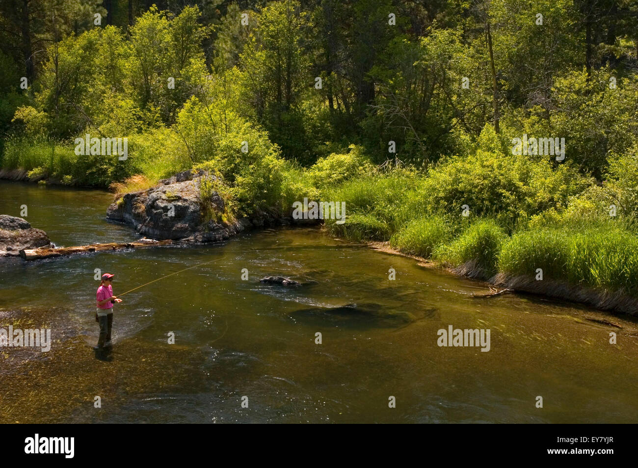 Powder River fishing, WallowaWhitman National Forest, Oregon Stock