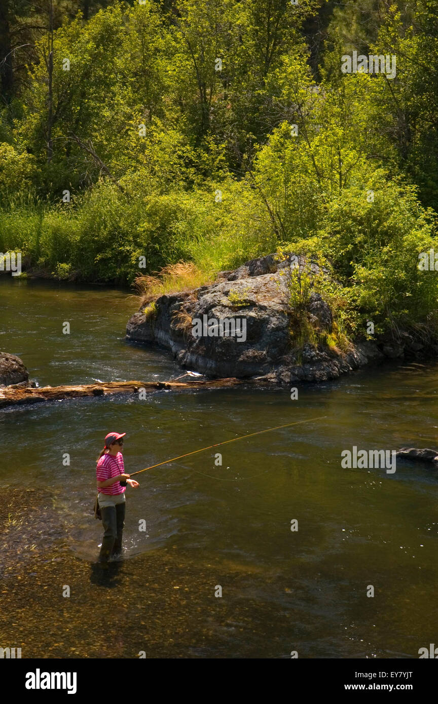 Powder River fishing, WallowaWhitman National Forest, Oregon Stock