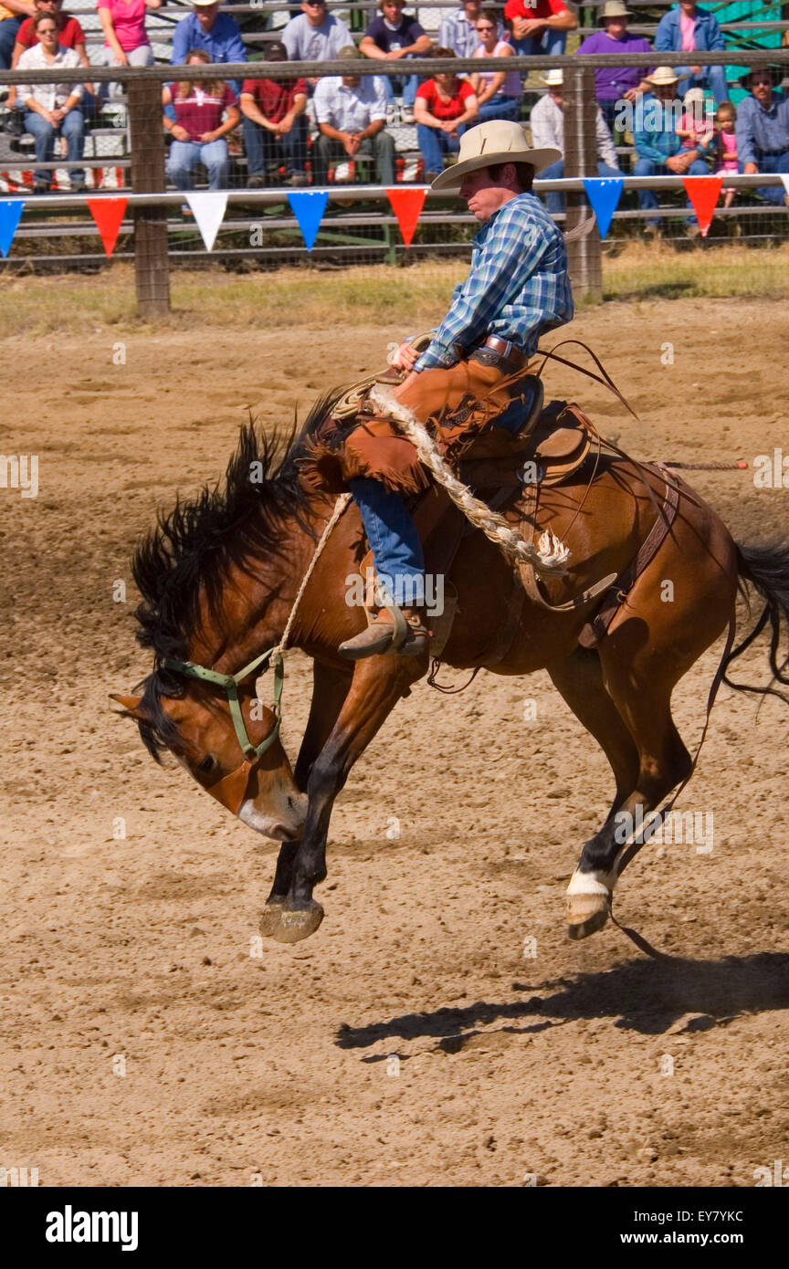 Saddle Bronc Riding, Haines Rodeo, Haines, Oregon Stock Photo Alamy