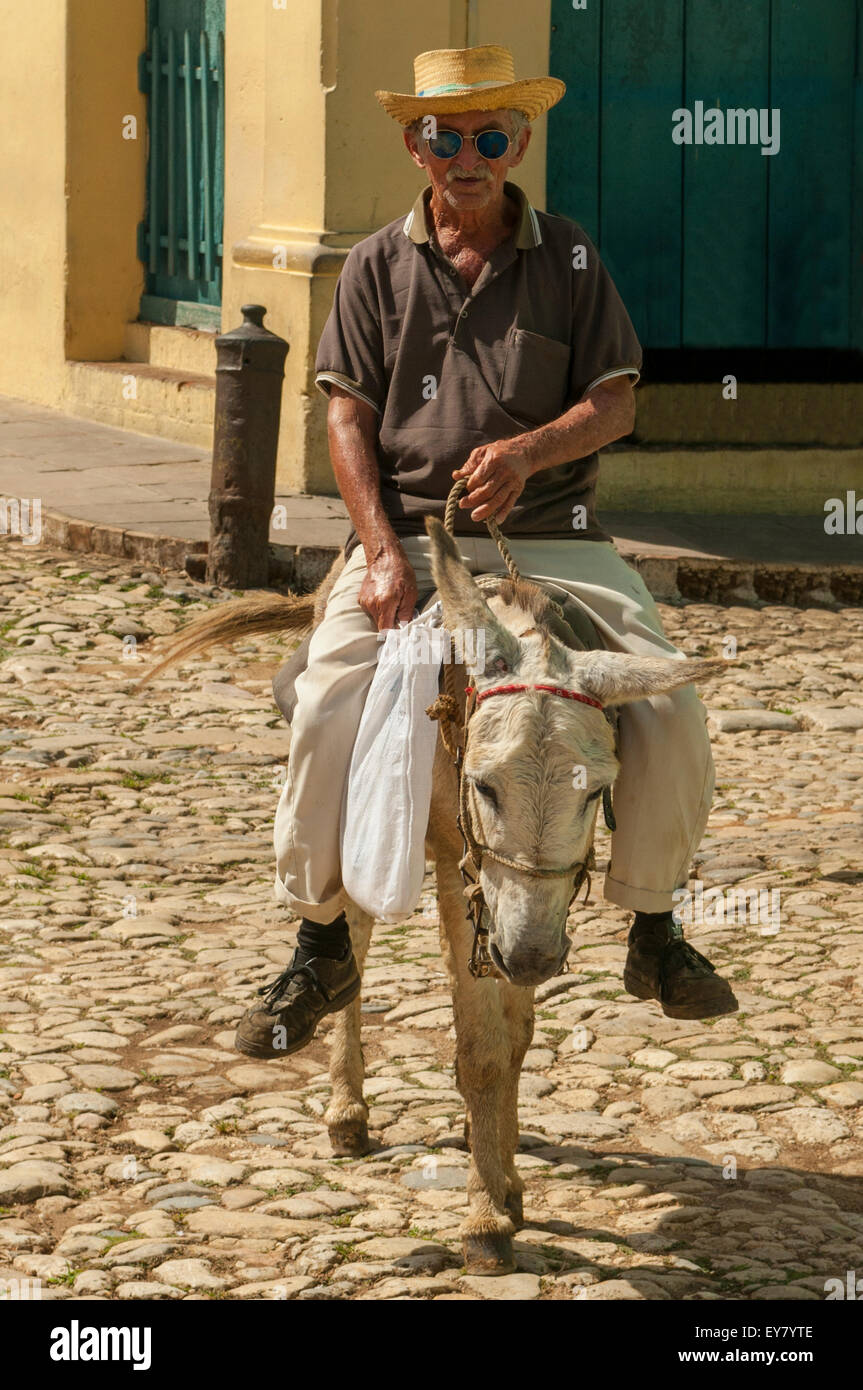 Local Donkey Transport in Trinidad, Cuba Stock Photo