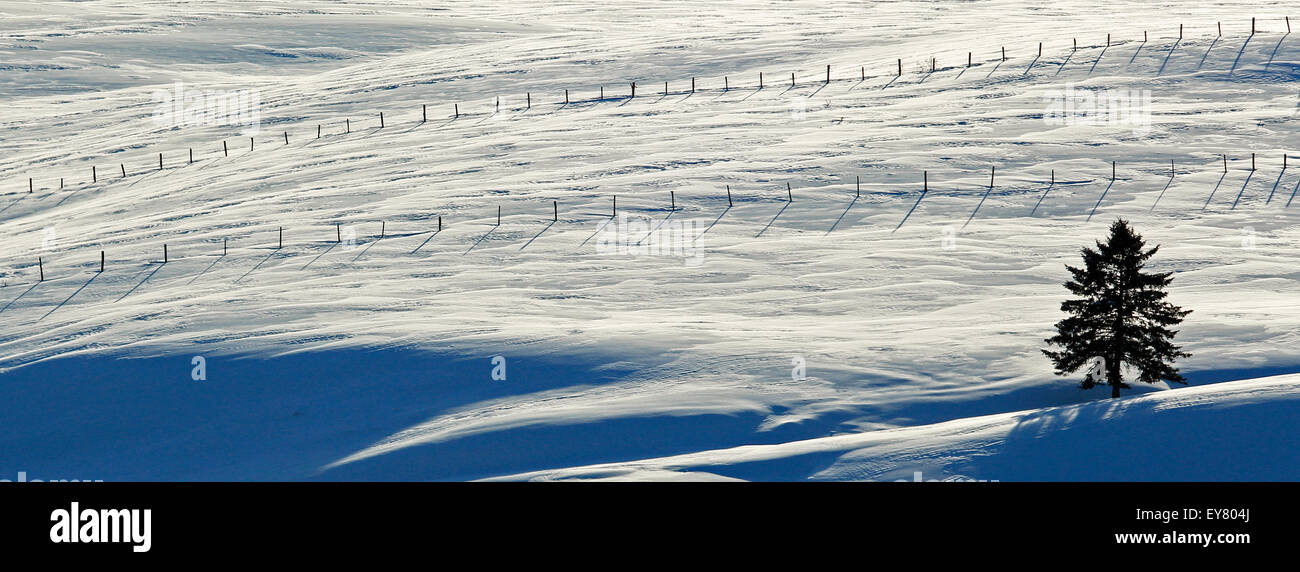 Winter snow scene with fences on a farm in New Brunswick, Canada. Stock Photo