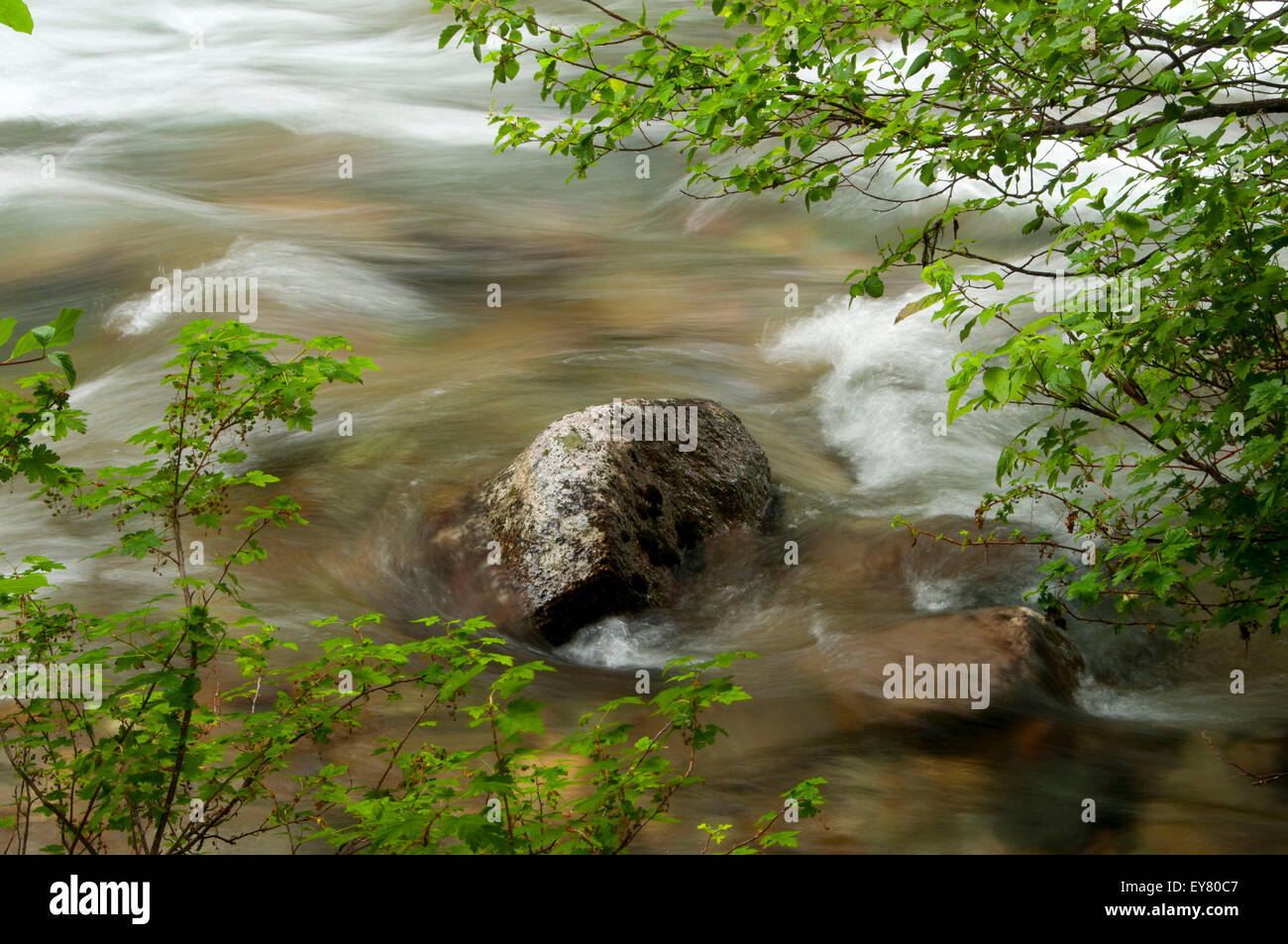 Lostine Wild and Scenic River, Wallowa-Whitman National Forest, Oregon ...