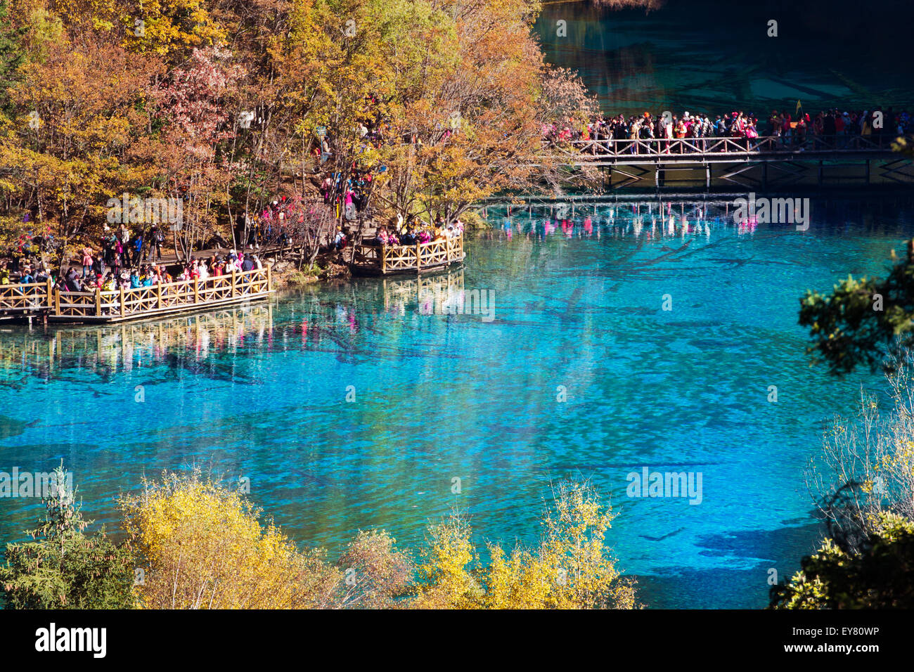 Jiuzhaigou national park, Five Flower Lake is lake in Sichuan, China