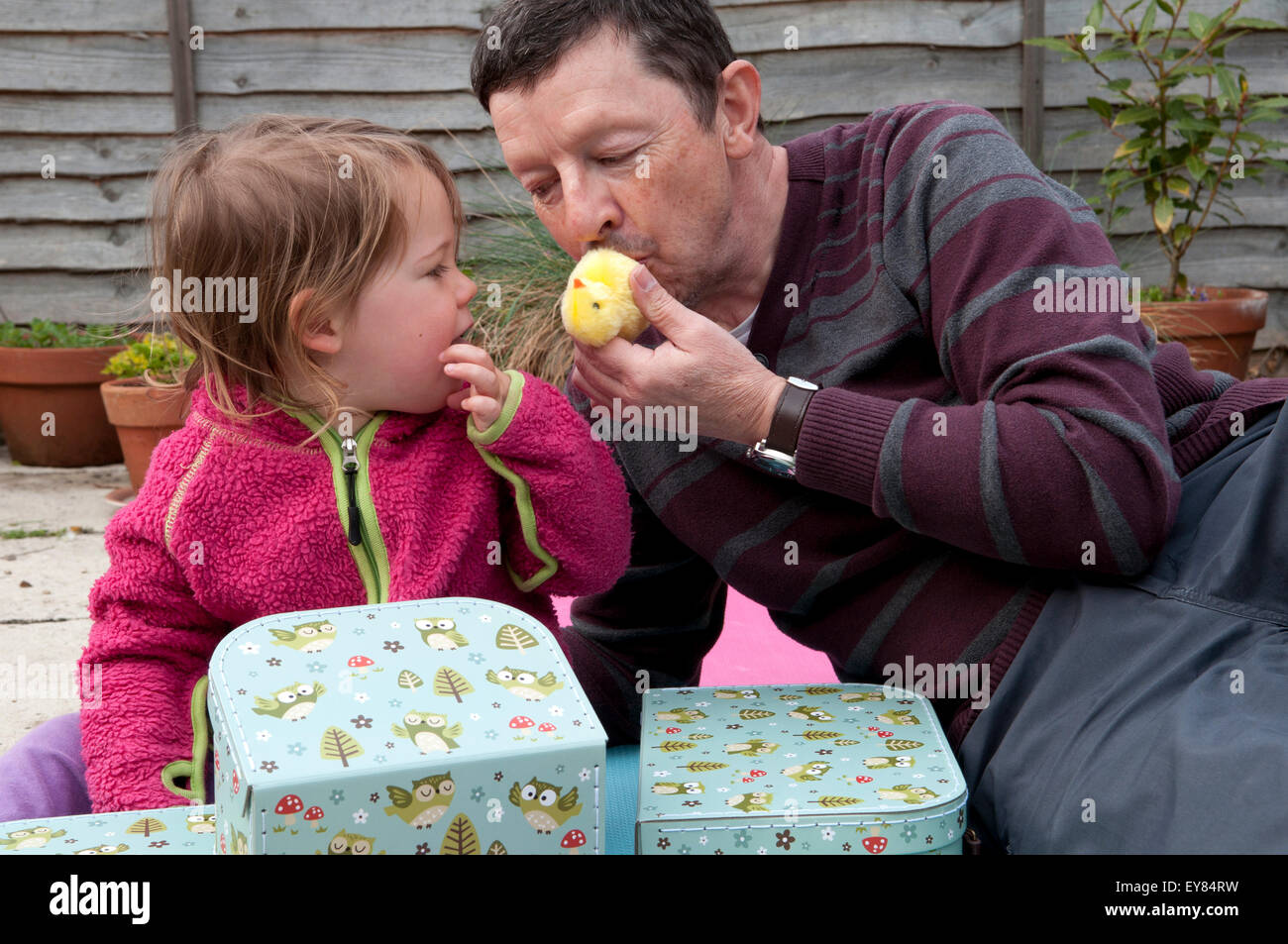 Little girl opening her birthday presents with her grandfather Stock Photo