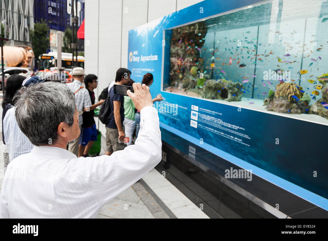okinawa churaumi aquarium 4k okinawa churaumi aquarium 4k
