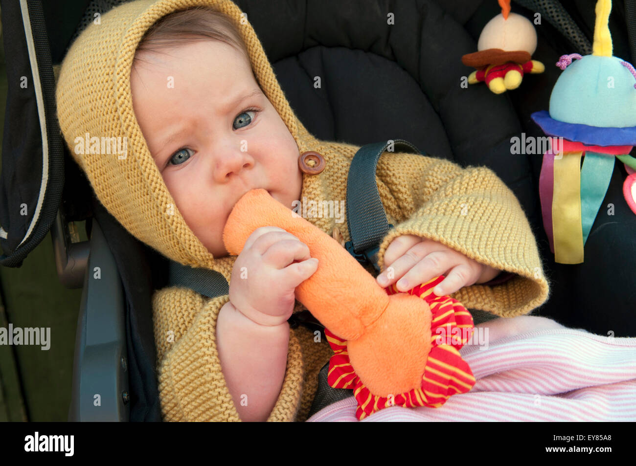 Portrait of baby girl sitting in her pram chewing a soft toy Stock Photo