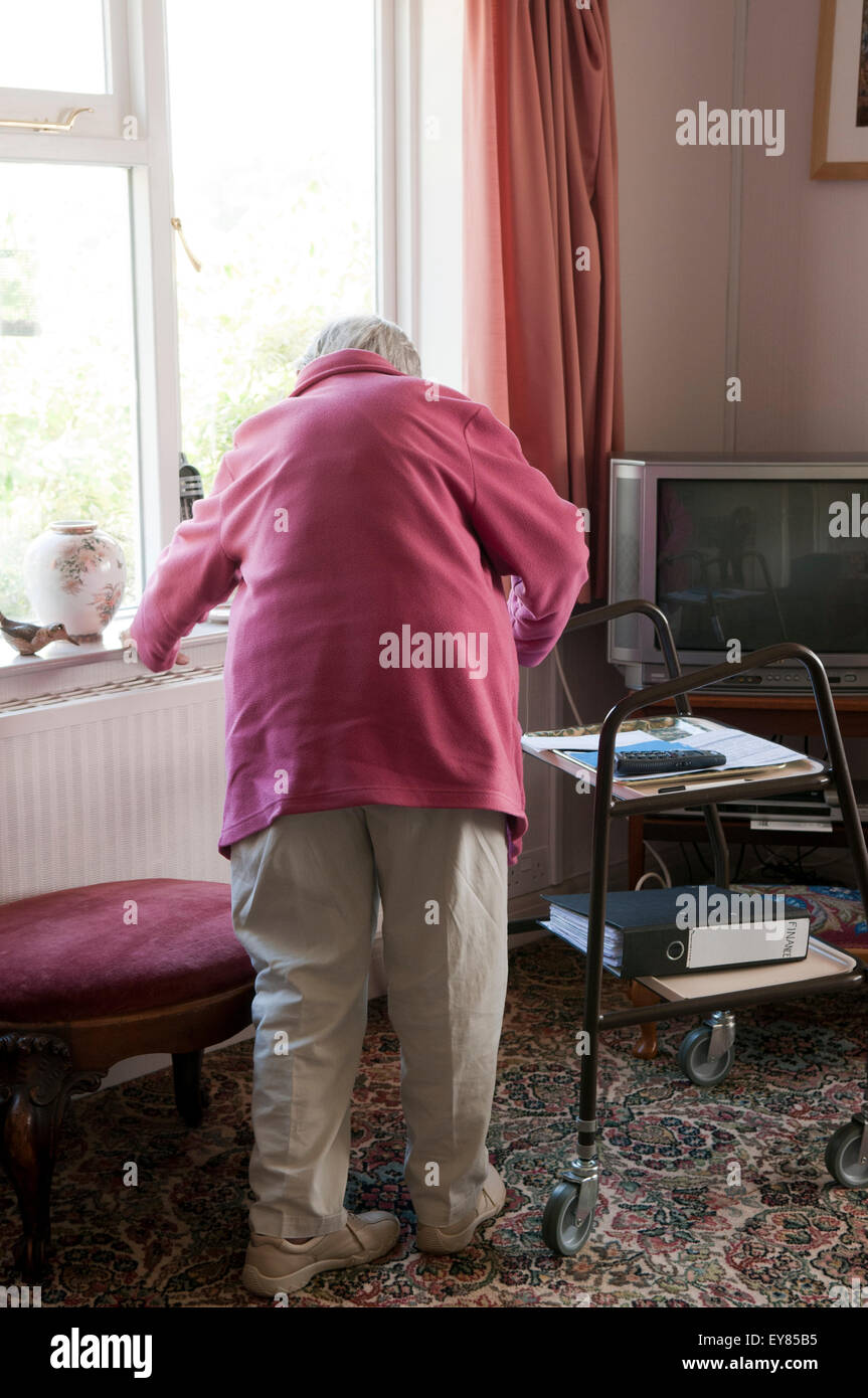 Rear view of elderly woman with walking aid Stock Photo - Alamy