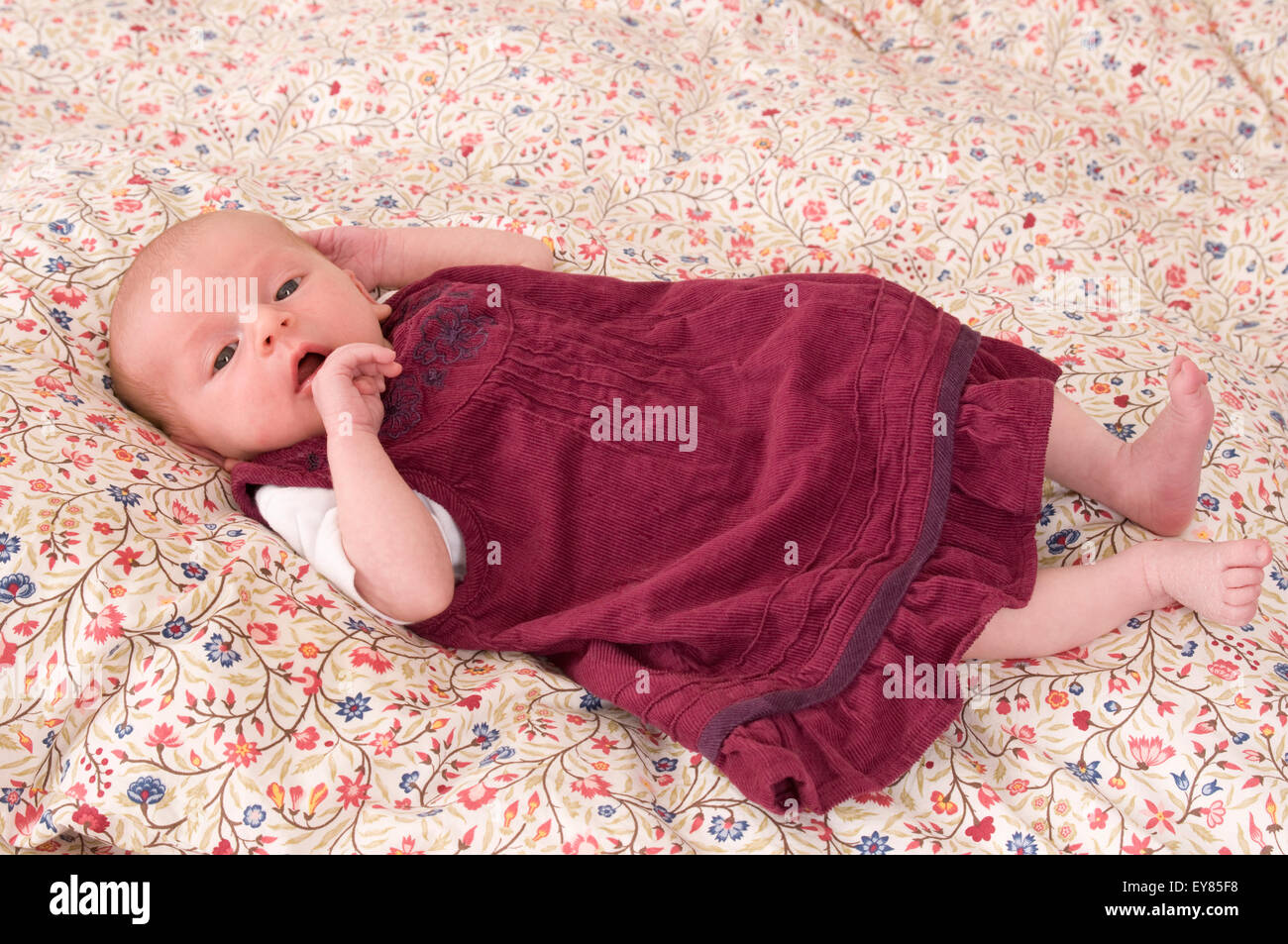 Portrait of newborn baby girl lying on bed awake Stock Photo Alamy
