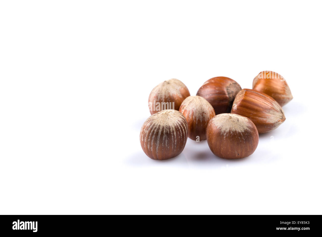 Hazelnuts nuts filberts isolated on white background Stock Photo Alamy