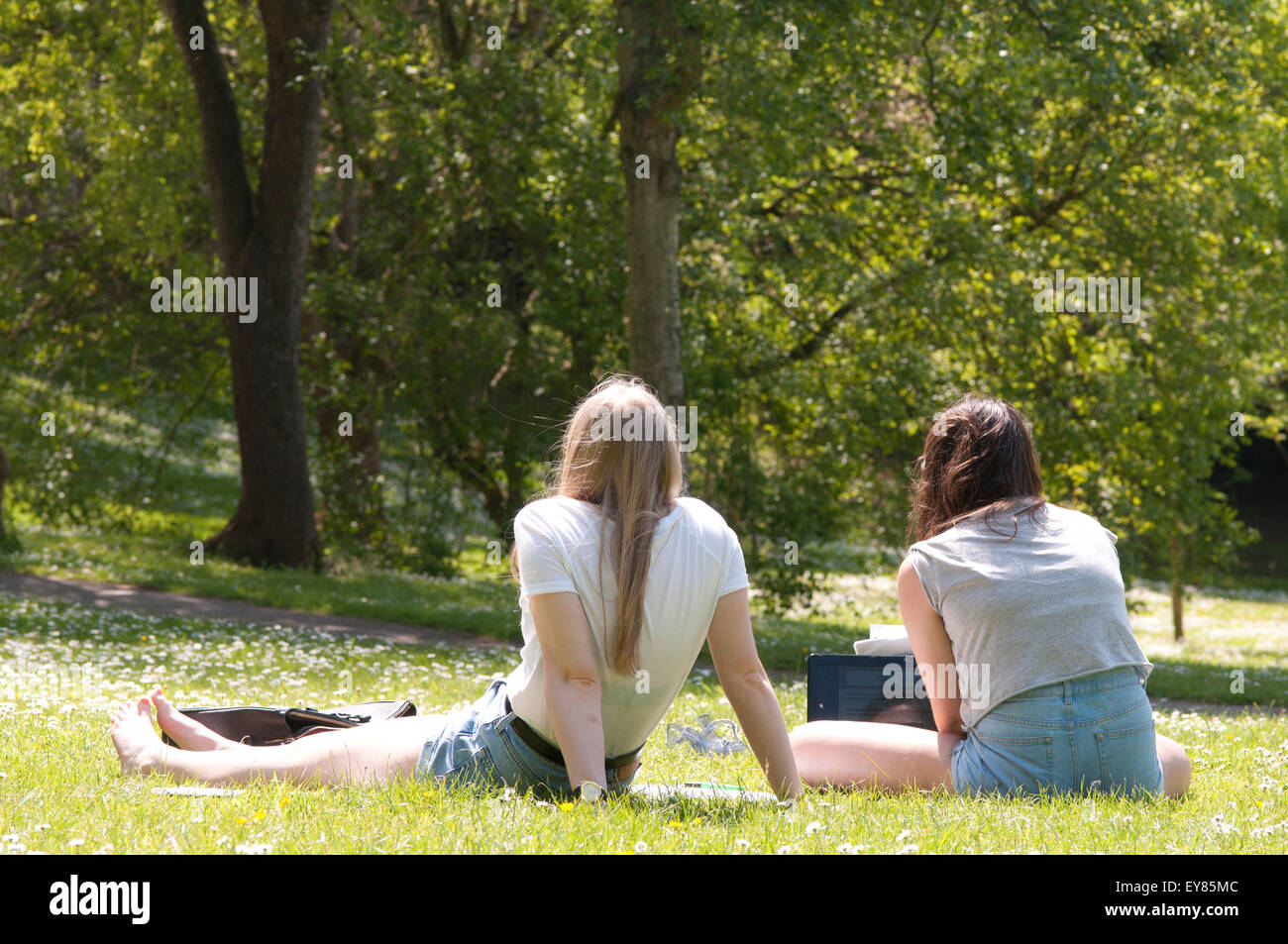 Rear view of two students sitting on the grass studying Stock Photo