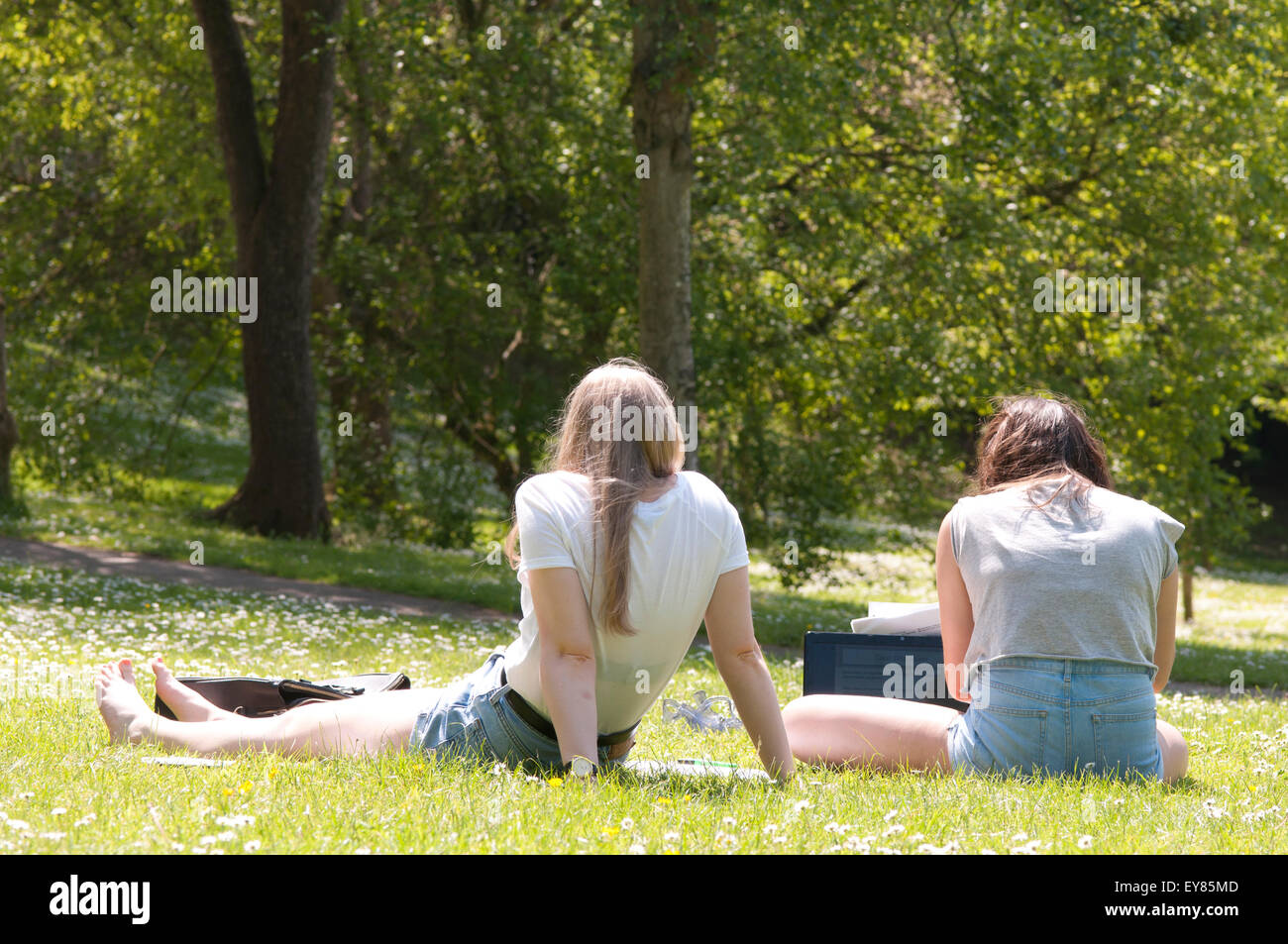 Rear view of two students sitting on the grass studying Stock Photo