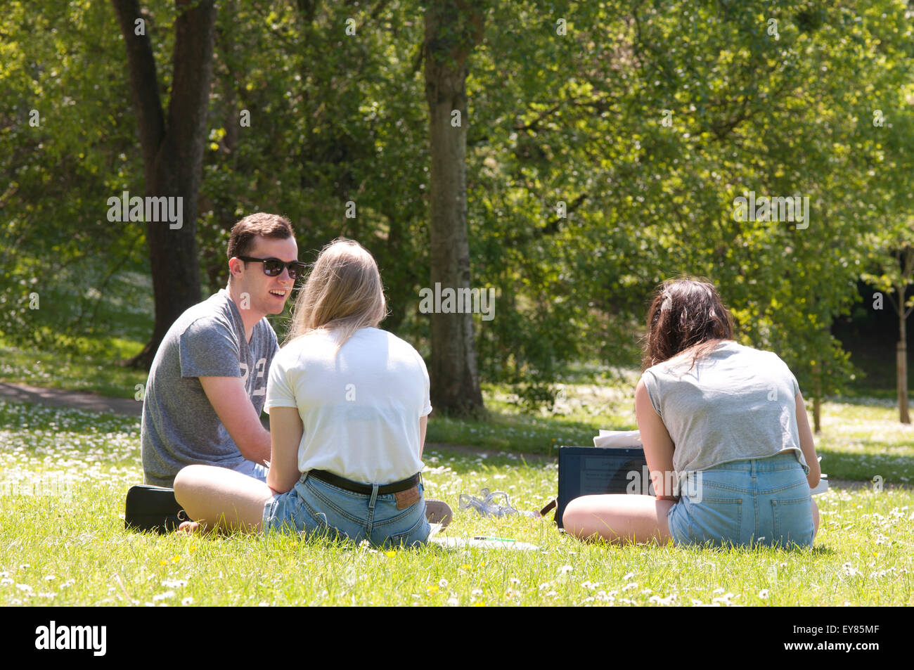 Students sitting on the grass studying Stock Photo