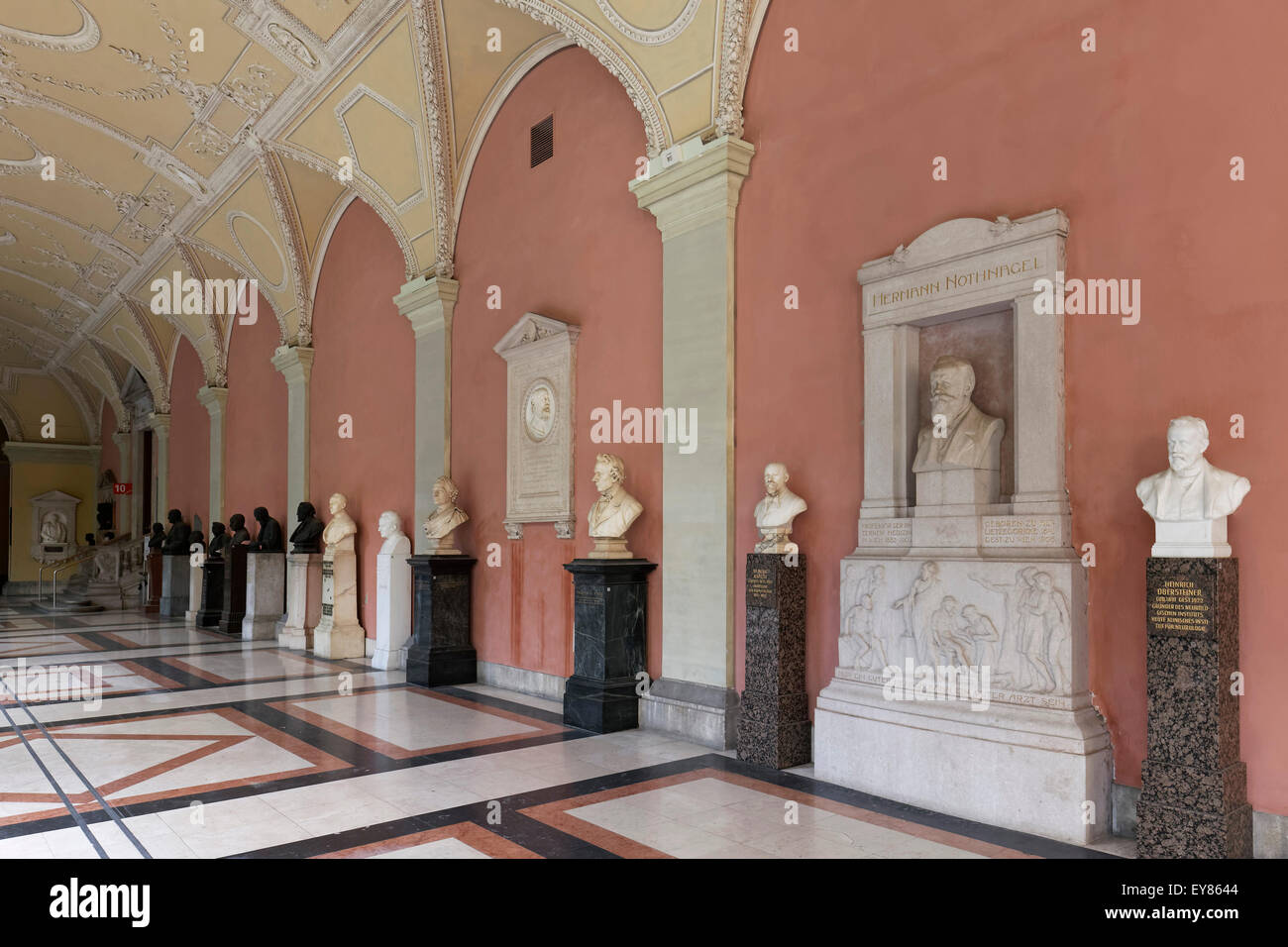 Arcades of the Vienna University, with busts and memorials of important scientists, Ringstraße, Vienna, Austria Stock Photo