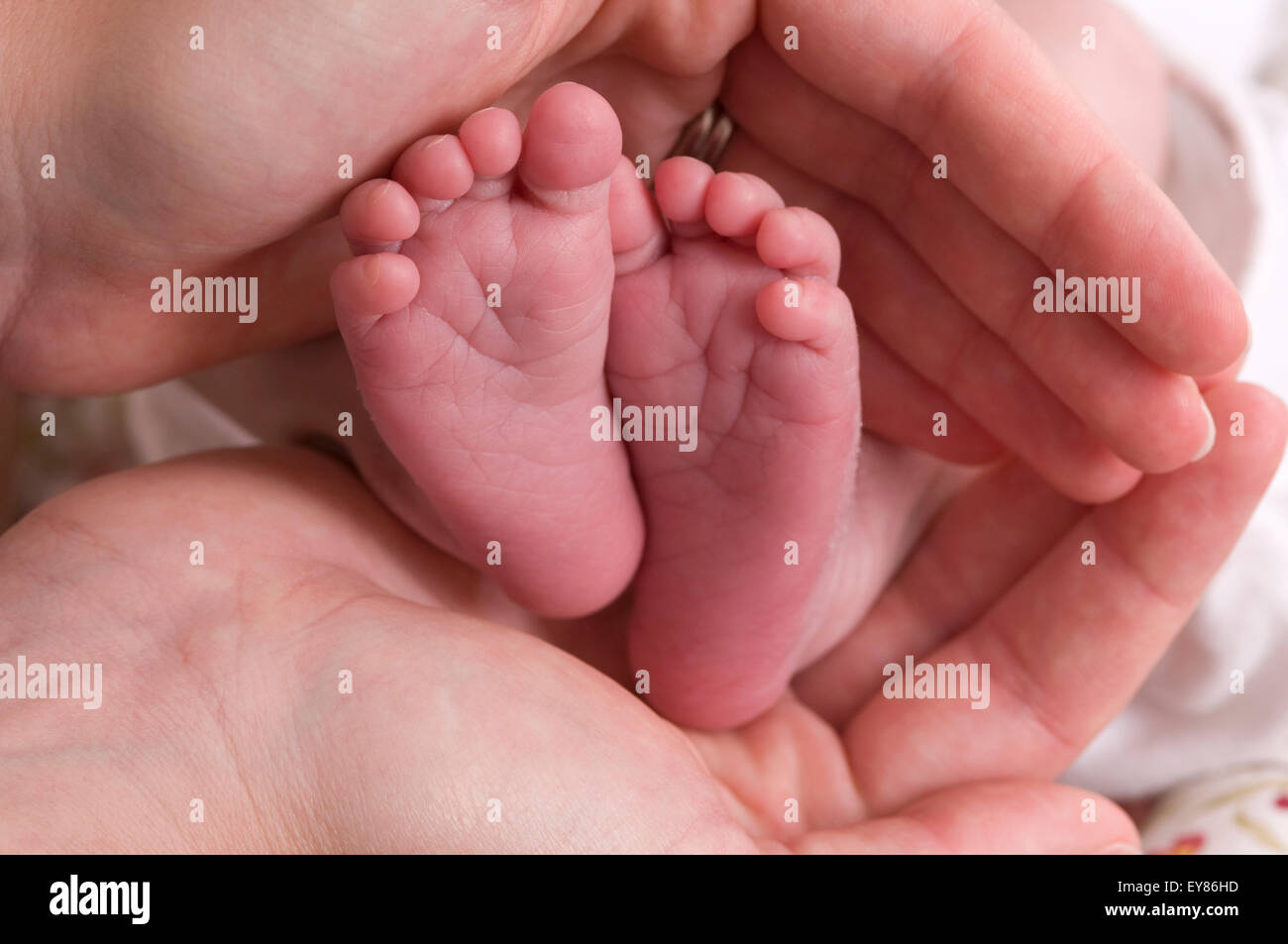 Close up of newborn baby's feet cupped in mums hands Stock Photo