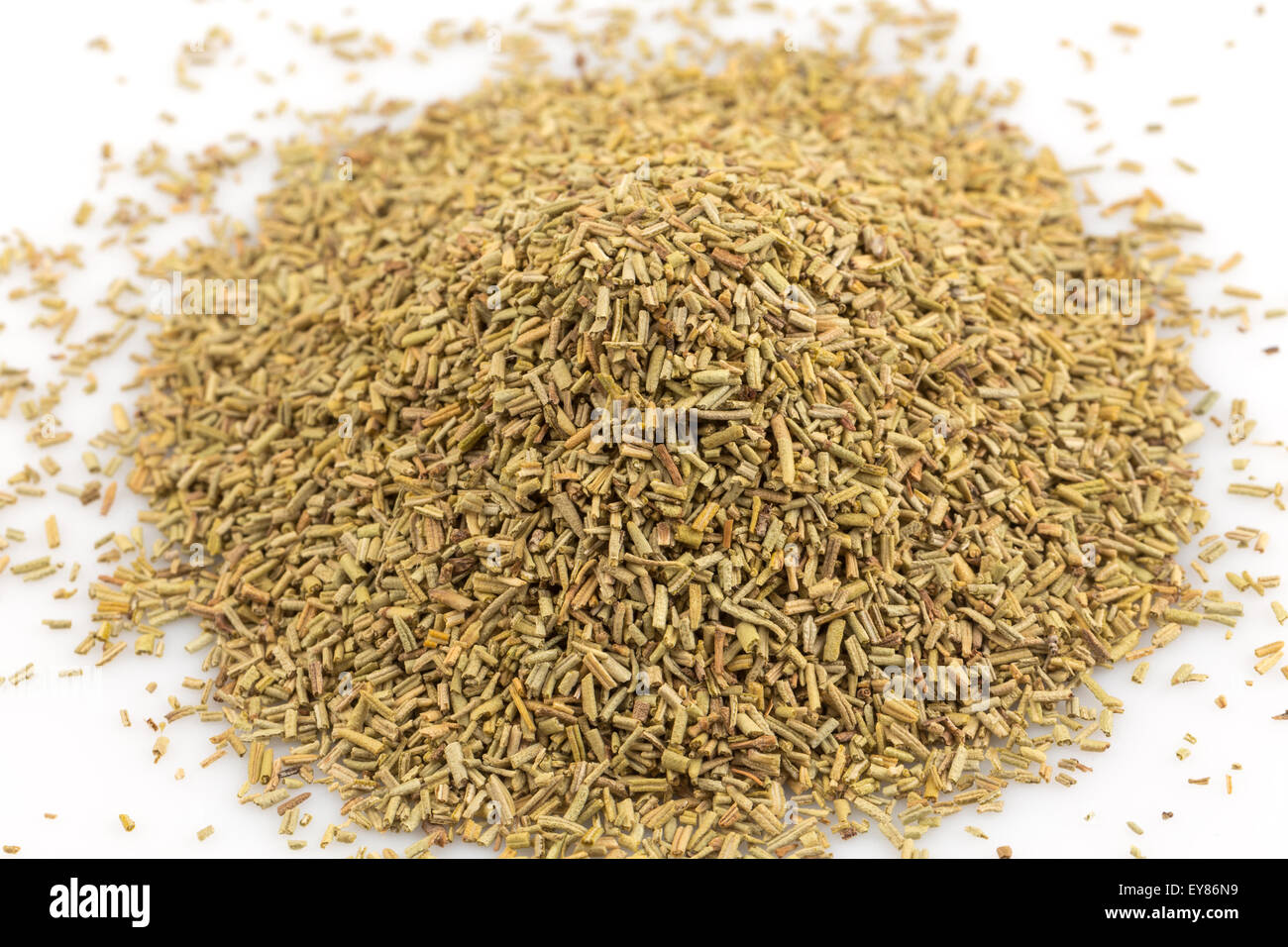 Rosemary spice herb closeup on white background Stock Photo Alamy