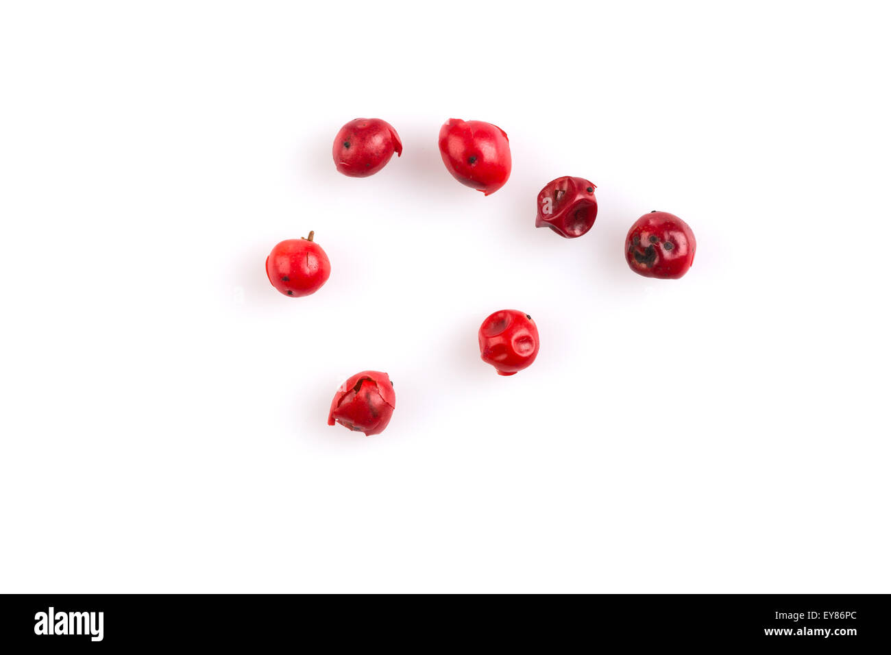 red peppercorns seeds isolated on white background Stock Photo Alamy