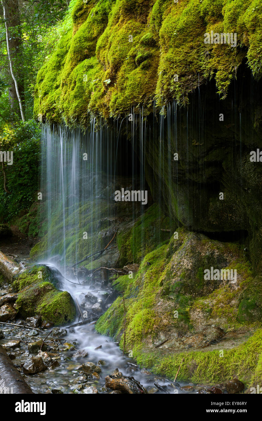 Mossy waterfall, Wutachschlucht gorge, Black Forest, Baden-Württemberg, Germany Stock Photo
