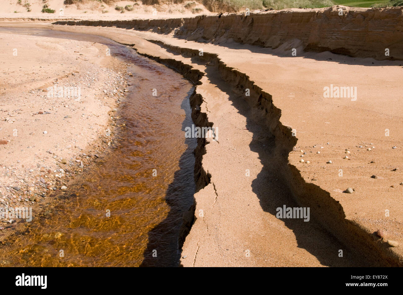 Closeup of sand erosion Stock Photo Alamy