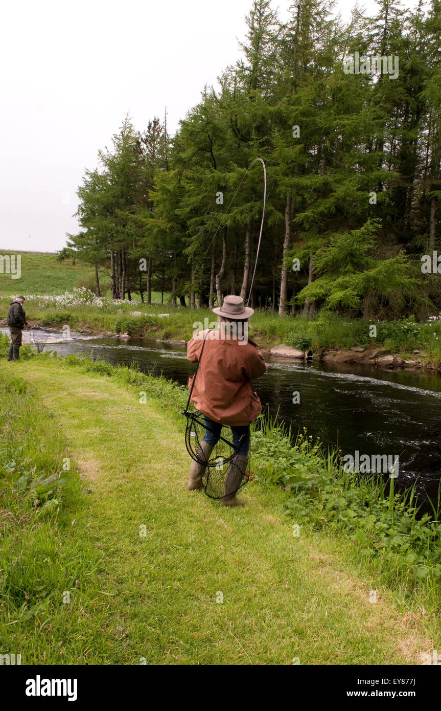 Woman angler reeling a fish in Stock Photo