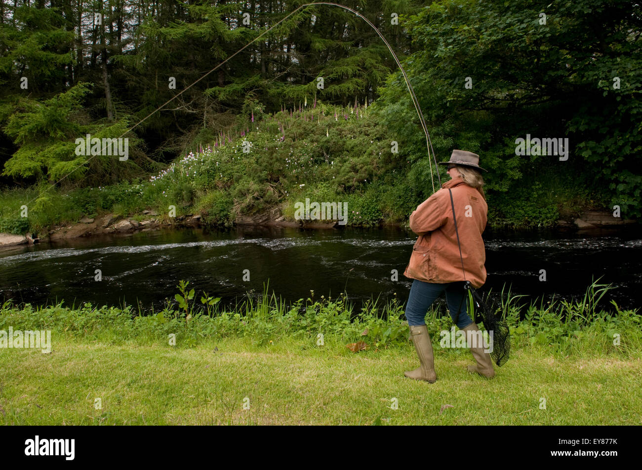 Woman angler reeling a fish in Stock Photo