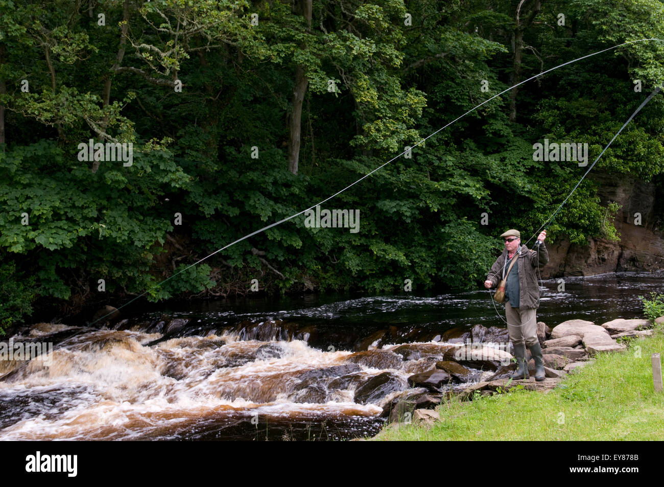 Angler fly fishing from riverbank Stock Photo Alamy