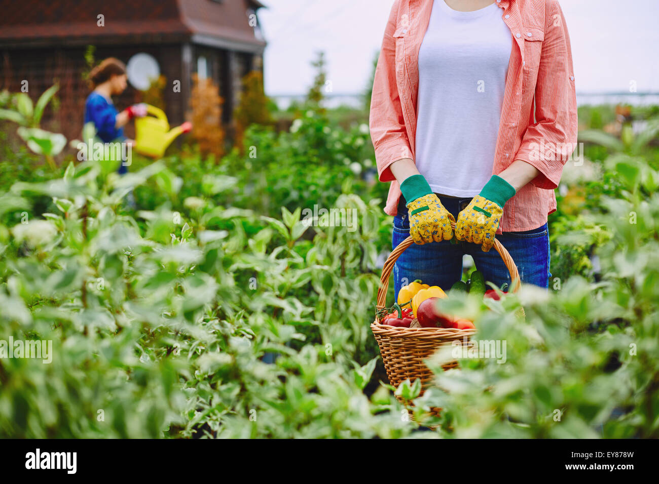 Female farmer standing in her garden with big basket full of vegetables ...