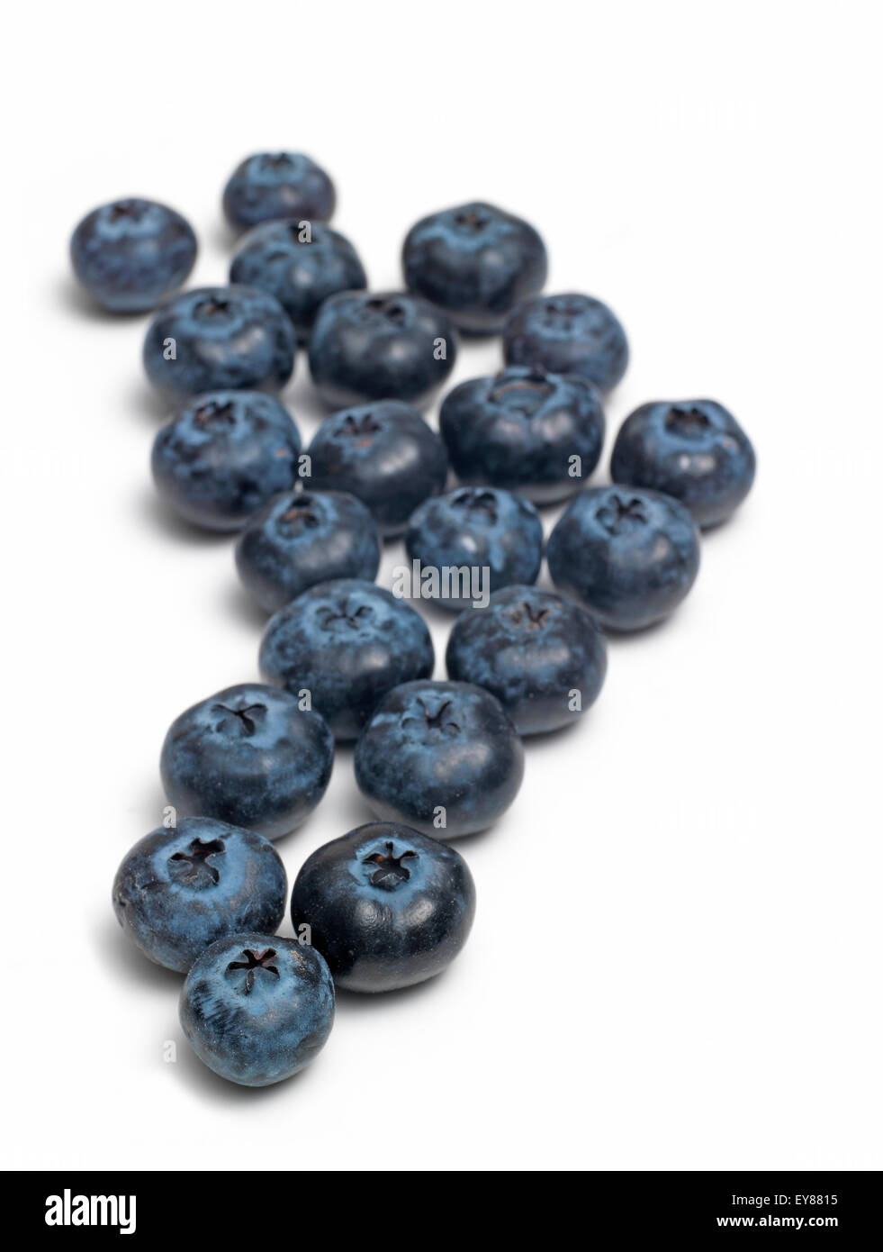Blueberry isolated on white Stock Photo