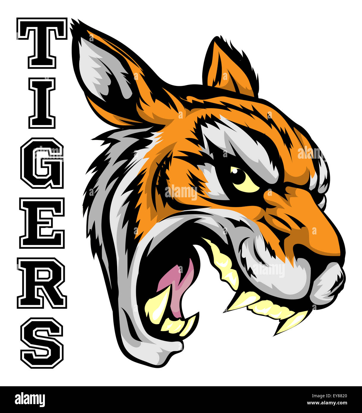 An illustration of a tiger sports mascot head with the word tigers Stock Photo