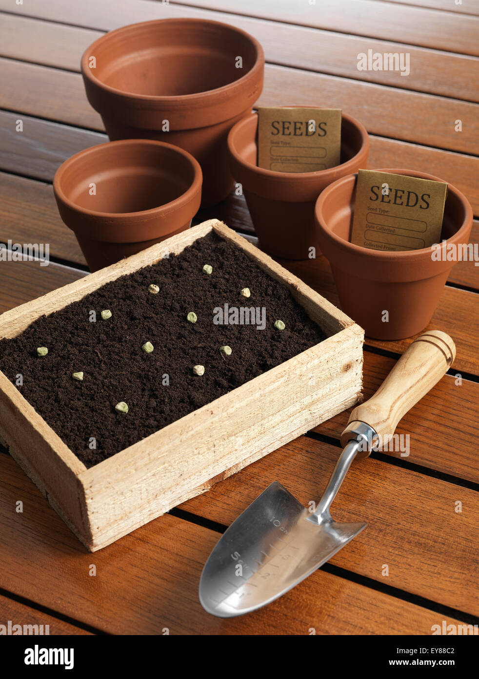 Plant seeds in a planter with organic soil pots and a garden trowel Stock Photo