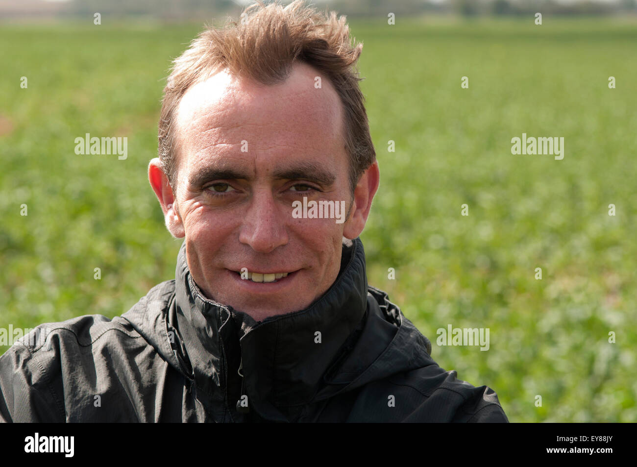 Head shot of man smiling with receding hairline Stock Photo