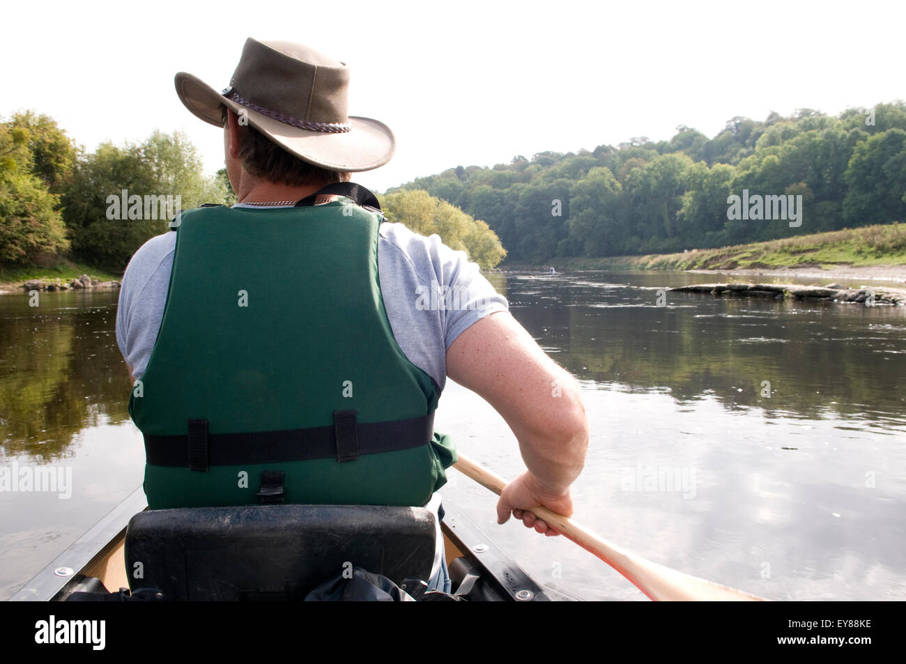 Rear view of man canoeing wearing life jacket Stock Photo Alamy