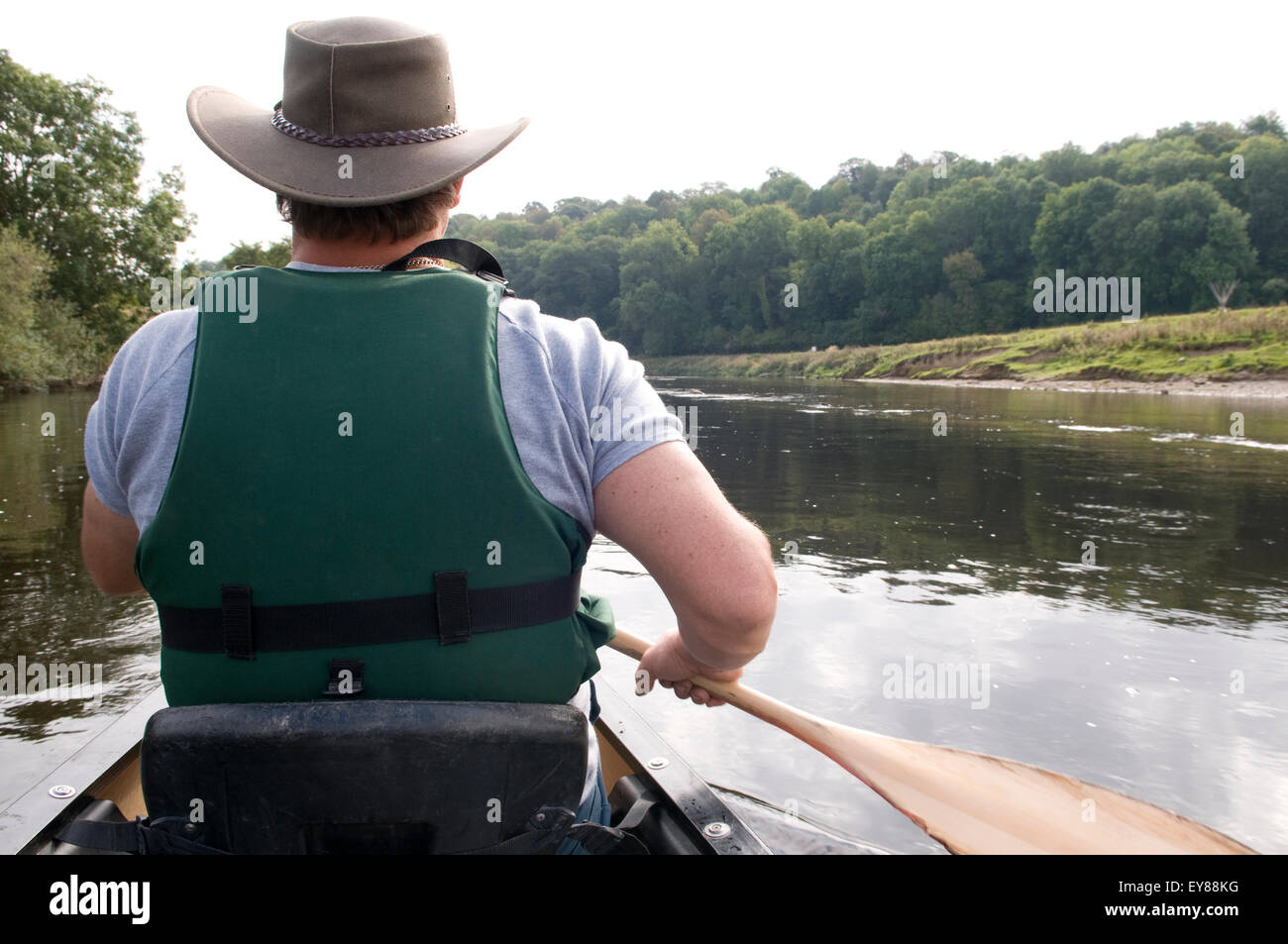 Rear view of man canoeing wearing life jacket Stock Photo Alamy
