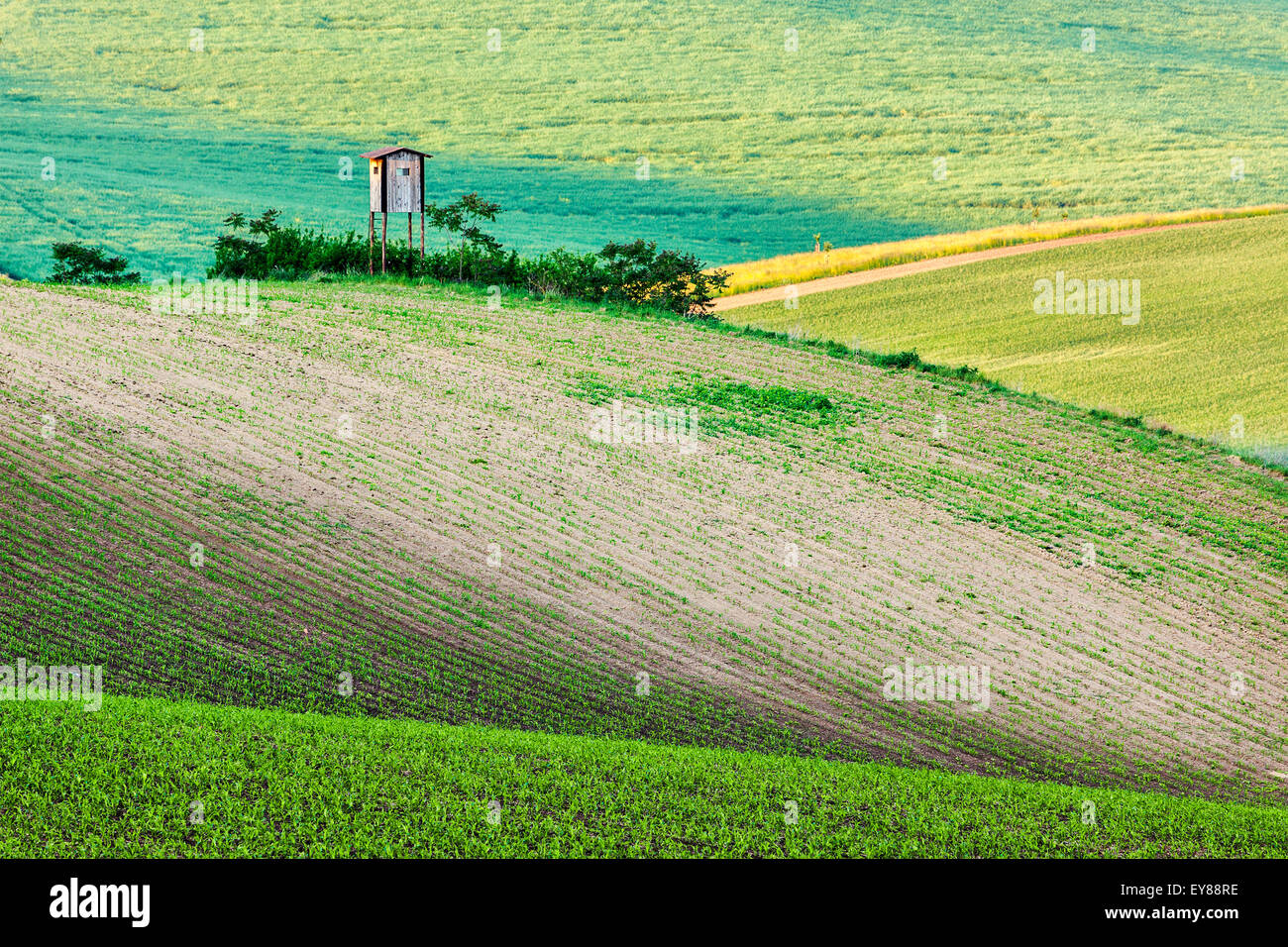 Rural Europe background - Moravian rolling landscape with hunting tower ...